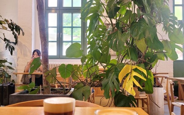 Bonanza Coffee Roasters - Coffee