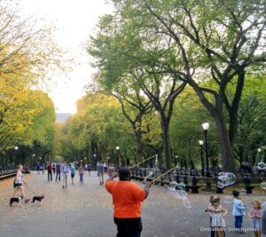 Central Park New York City