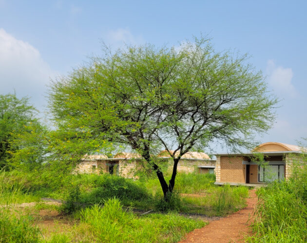 Cottages Waghoba Eco Lodge © Prachi Joshi