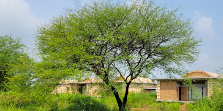 Cottages Waghoba Eco Lodge © Prachi Joshi