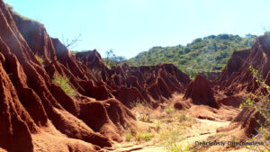 Grand canyon at Ol Jogi Kenya