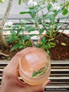 Grapefruit Gin Fizz