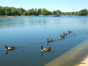 Hyde Park Serpentine