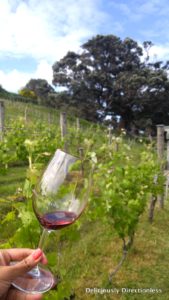 Kennedy Point Waiheke Island Auckland