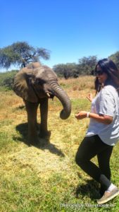 Maisha at Ol Jogi Kenya