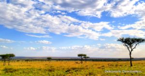 Masai Mara Kenya Landscape