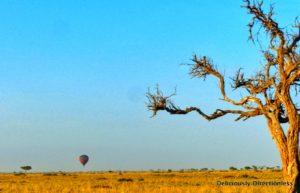 Masai Mara Kenya Landscape