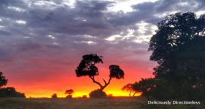 Sunset at Masai Mara Kenya