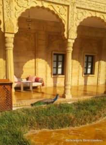 Peacock at Suryagarh Jaisalmer