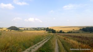 Road to Silbury Hill