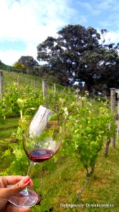 Syrah & vineyards at Kennedy Point Waiheke Auckland
