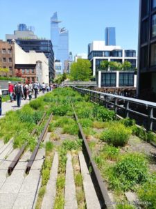 View of Hudson Yards from the High Line