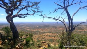 View of the conservancy Ol Jogi Kenya