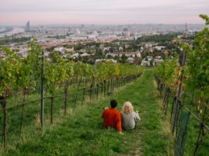 Wineries in Vienna